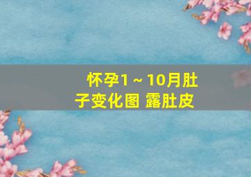 怀孕1～10月肚子变化图 露肚皮